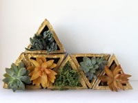 A Piece Of Rainbow Concrete Triangle Planters